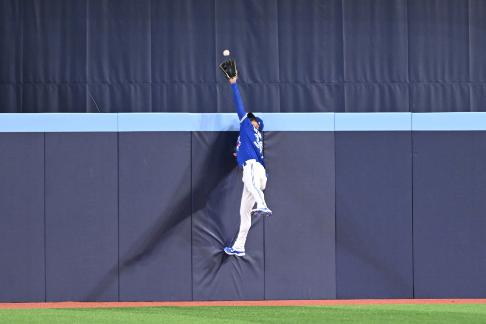 Blue Jays CF Daulton Varsho jumps and plants his right leg into the fence, reaches up with his glove and catches a ball that is going over the fence. He is wearing a blue jersey and white baseball pants.